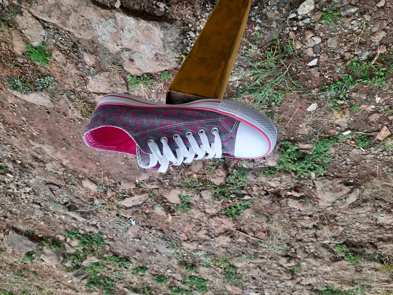 ladies_pink_shoes._2.webp