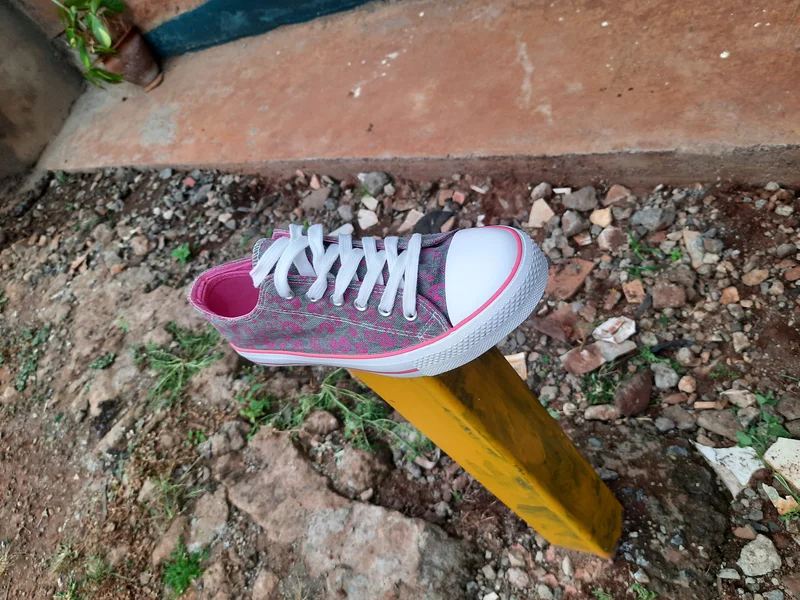 ladies_pink_shoes._3.webp